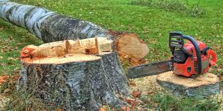 Best Firewood Processing and Delivery  in Washington Mills, NY
