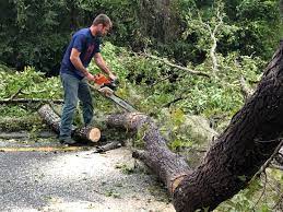 Leaf Removal in Washington Mills, NY