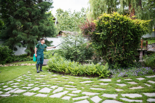 Best Lawn Grading and Leveling  in Washington Mills, NY